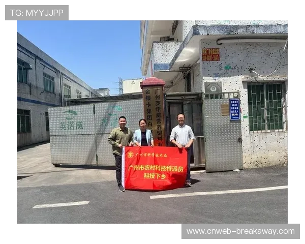 内容生产团队在本周期内深度集成实时包处理技术 确保信号质量稳健跃升