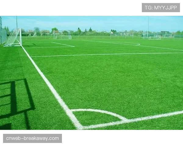 深度调查：新建足球场馆的“绿色转播”标准面临成本挑战