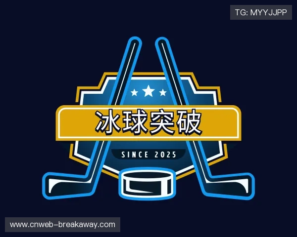 介绍冰球突破
